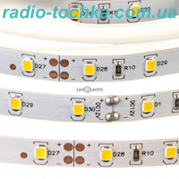 Стрічка світлодіодна біла 3528/60шт./м 12V 7000-8000K AVT